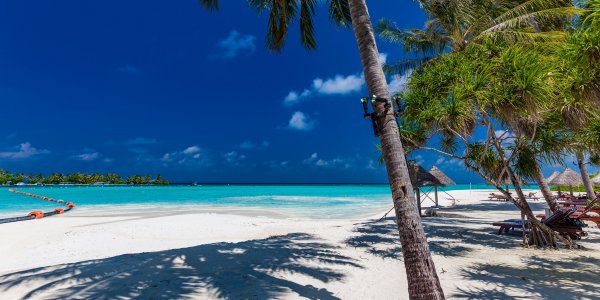 Scopri le Attività Imperdibili alle Maldive